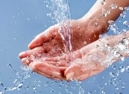 Чистота дома: как избежать распространения бактерий