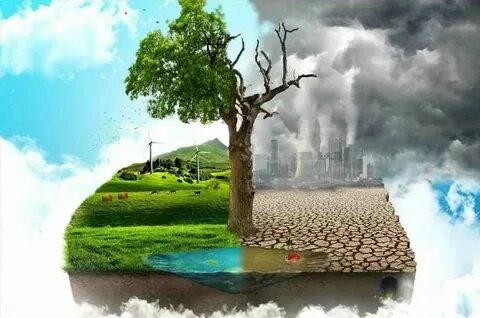 Эко-туризм: путешествия с заботой о природе