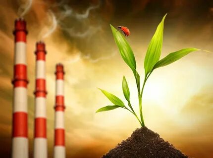 Как выбрать экологически чистые продукты