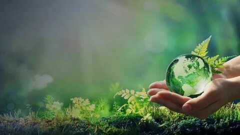 Зелёные технологии: инновации, которые спасают планету